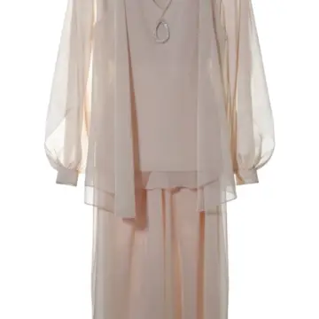Beige Sheer Chiffon Top and Maxi Skirt Set with Brooch